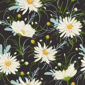 Seamless pattern with white chamomile flowers and sagebrush. Stock Illustration