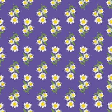 Seamless pattern of white chamomile flowers Stock-Illustration