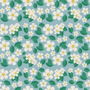 Seamless pattern with white cherry flowers on branch with leaves Stock-Illustration