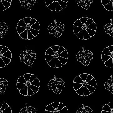 Seamless pattern with white contour pumpkins on a black background. Vector Stock Illustration