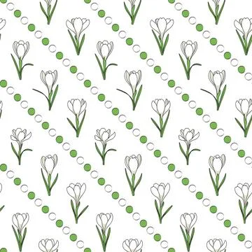 Seamless pattern with white crocus flowers, saffron. Stock Illustration