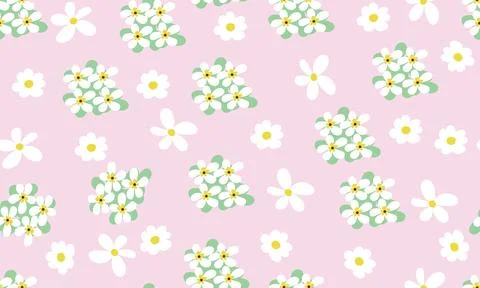 Seamless pattern with white daisies and champa flowers with pink background Illustrazione stock