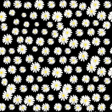 Seamless pattern with white daisies on black background. Vector illustration. Stock Illustration