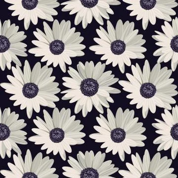 Seamless pattern with white daisies on black background. Vector illustration Stock Illustration