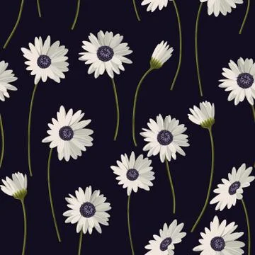 Seamless pattern with white daisies on black background. Vector illustration Stock Illustration