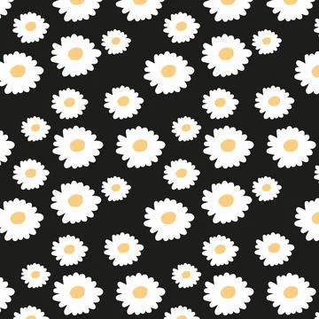 Seamless pattern of white daisies on a black background Illustrazione stock