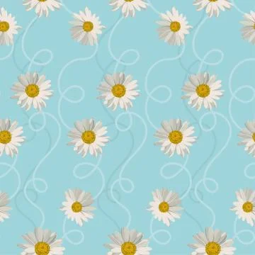 Seamless pattern with white daisies on blue background. Vector illustration Illustrazione stock