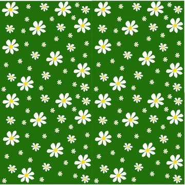 Seamless pattern with white daisies on green background, Stock Illustration