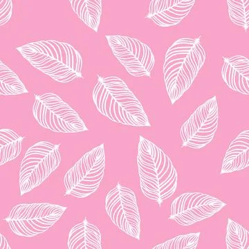 Seamless pattern of white feathers on pink background Stock Illustration