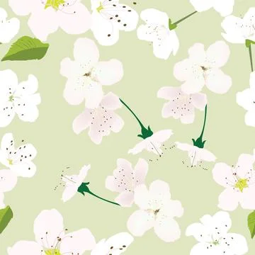 Seamless pattern with white flowers and pastel green background for prints; Stock Illustration