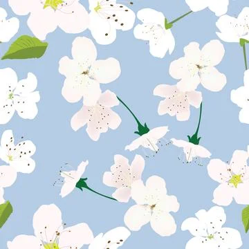 Seamless pattern with white flowers and pastel blue background for prints; Stock Illustration