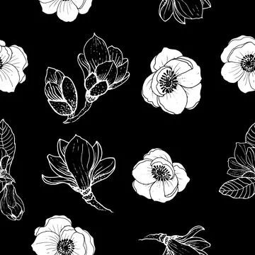 Seamless pattern White flowers on a black background. Beautiful magnolias and Stock Illustration