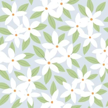 Seamless pattern white jasmine flower Stockillustratie