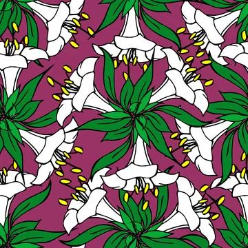 Seamless pattern of white large exotic flowers with a black outline Stock Illustration
