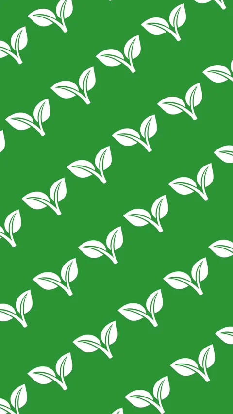 Seamless pattern of white leaf icons on green screen background animation 스톡 동영상 334056179