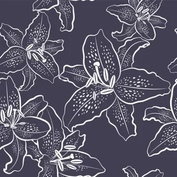 Seamless pattern, white lily on a black background Stock Illustration