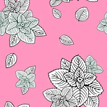 Seamless pattern white mint leaves on a pink background. Stock Illustration