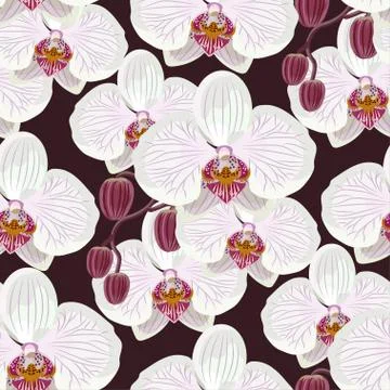 Seamless pattern with white orchids on black background Stock Illustration
