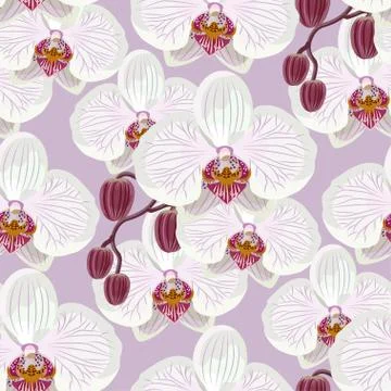 Seamless pattern with white orchids on lilac background Stock Illustration