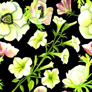 Seamless pattern of white petunias and anemones watercolor Stock Illustration