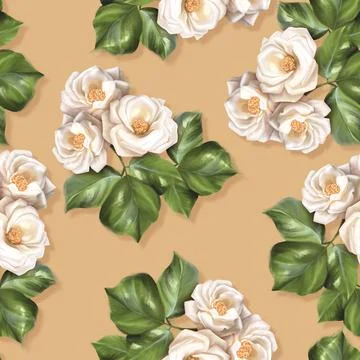 Seamless pattern of white rose flowers. Floral background 스톡 일러스트