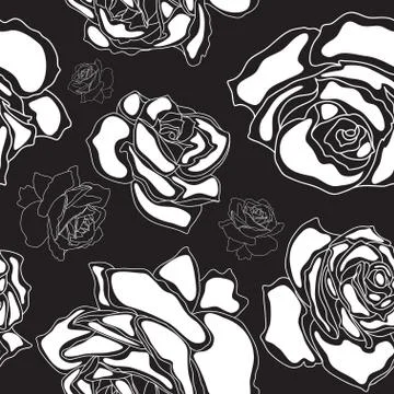 Seamless pattern, white roses on a black background Stock Illustration