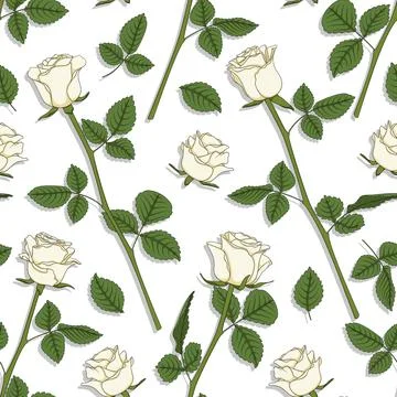 Seamless pattern with white roses. Stock Illustration