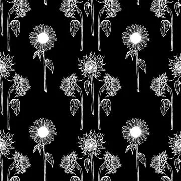 Seamless pattern white sunflower flower line art on black background Stock Illustration