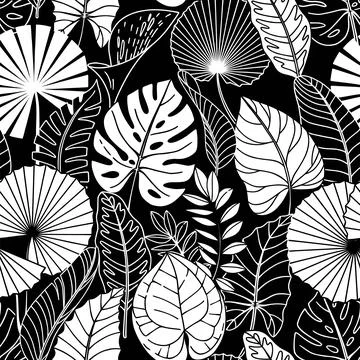 Seamless pattern with white tropical leaves on black background. Stock Illustration