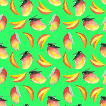 Seamless pattern of whole and cut mango hand painted watercolor illustration 스톡 일러스트