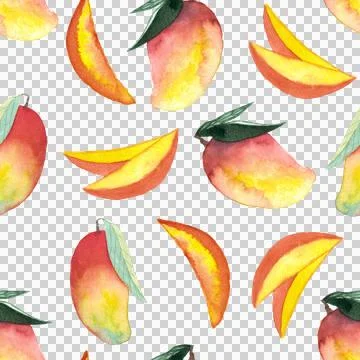 Seamless pattern of whole and cut mango hand painted watercolor illustration 스톡 일러스트