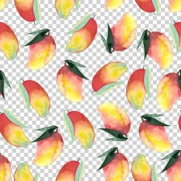 Seamless pattern of whole and cut mango hand painted watercolor illustration Stock Illustration