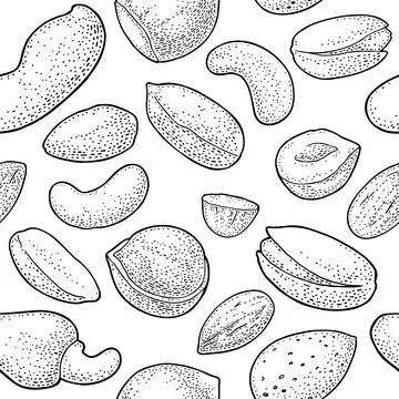 Seamless pattern whole and half nut seed. Vector black engraving Illustrazione stock