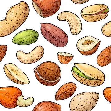 Seamless pattern whole and half nut seed. Vector engraving Illustrazione stock