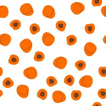 Seamless pattern with whole and sliced apricot fruit in hand drawn cartoon style Stock Illustration