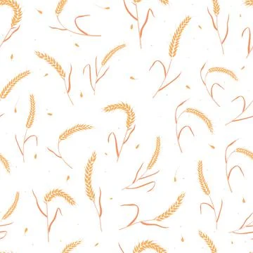 Seamless pattern with whole grain seeds organic, natural ears isolated on white Stock Illustration