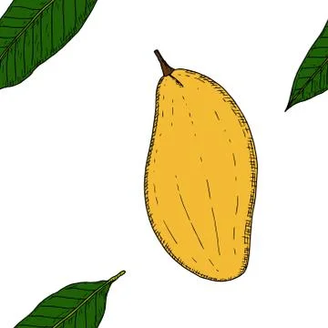 Seamless pattern of whole mango and mango leaves. Vector. Stock Illustration
