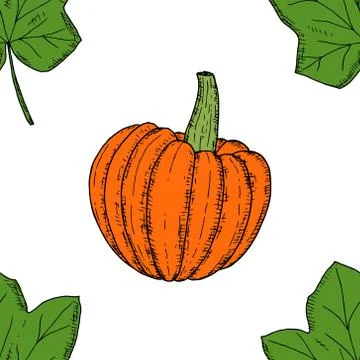 Seamless pattern of whole pumpkins and pumpkin leaves. Stock Illustration