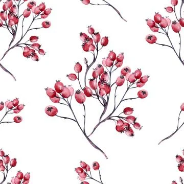 Seamless pattern with wild berries and twigs. Watercolor illustration Stock Illustration