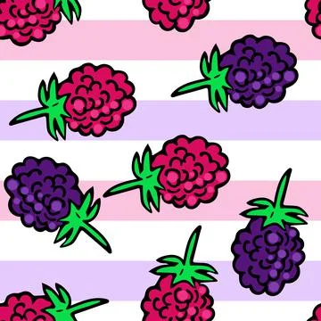 Seamless pattern with wild berries. Raspberries and blackberries, solid 스톡 일러스트