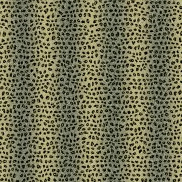 Seamless  pattern  of wild cat fur Illustration