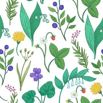 Seamless pattern with wild forest plants, flowers and berries. Stylized doo.. Stock Illustration