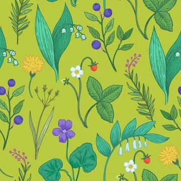Seamless pattern with wild forest plants, flowers and berries. Stylized doo.. 스톡 일러스트
