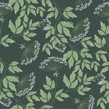 Seamless pattern wild herbs on deep green. Stock Illustration