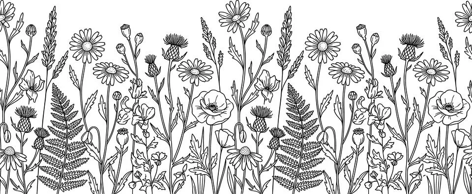 Seamless pattern of wild meadow flowers and ferns, hand-drawn botanical ill.. Ilustração Stock