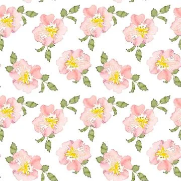 Seamless pattern wild pink roses flower and green leaves. Watercolor floral Illustrazione stock
