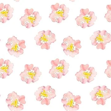 Seamless pattern wild pink roses flower. Watercolor floral illustration Stock Illustration