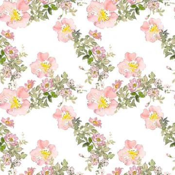 Seamless pattern wild pink roses flower and green leaves. Watercolor floral Stock Illustration