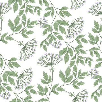 Seamless pattern with wild plant. Cicuta virosa Stock Illustration