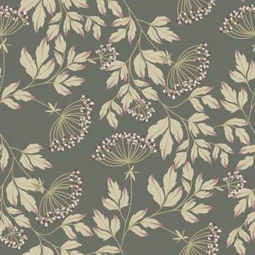 Seamless pattern with wild plant. Herbal textile. Stock Illustration